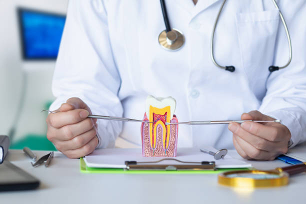 Best Emergency Gum Treatment in Monticello, MS
